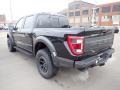 Agate Black Metallic - F150 SVT Raptor SuperCrew 4x4 Photo No. 6