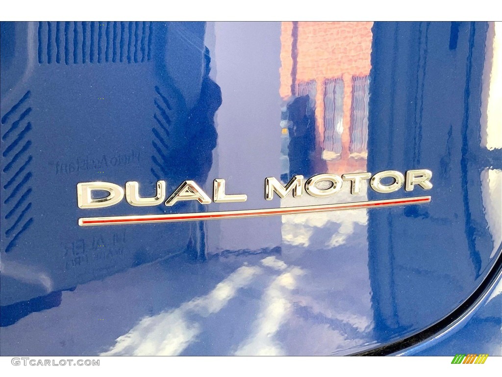 2020 Tesla Model X Performance Marks and Logos Photo #145461190