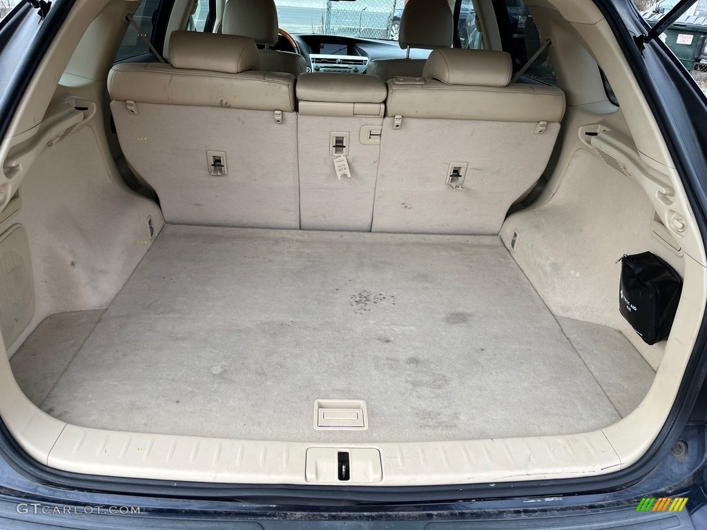 2010 RX 350 AWD - Black Sapphire Pearl / Parchment/Brown Walnut photo #21