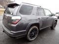 Magnetic Gray Metallic - 4Runner Limited 4x4 Photo No. 2
