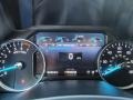 2020 Ford Expedition Platinum 4x4 Gauges