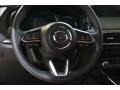 Polymetal Gray - CX-9 Carbon Edition AWD Photo No. 7