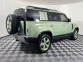 Grasmere Green - Defender 110 75th Limited Edition Photo No. 2