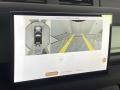Grasmere Green - Defender 110 75th Limited Edition Photo No. 21