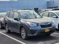 Magnetite Gray Metallic - Forester 2.5i Premium Photo No. 3