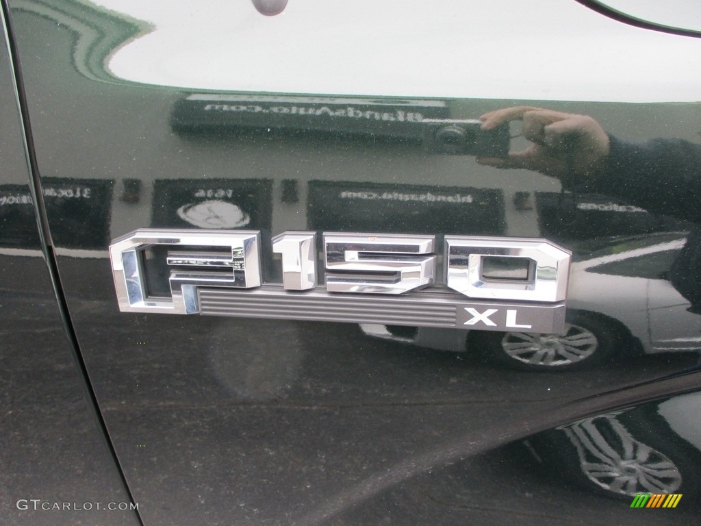 2016 F150 XL Regular Cab - Green Gem / Medium Earth Gray photo #17