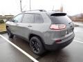Sting-Gray - Cherokee Altitude Lux 4x4 Photo No. 3