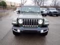 Sarge Green - Wrangler Unlimited Sahara 4XE Hybrid Photo No. 8
