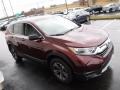 Basque Red Pearl II - CR-V LX AWD Photo No. 5