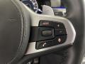 2019 BMW 5 Series Black Interior Steering Wheel Photo