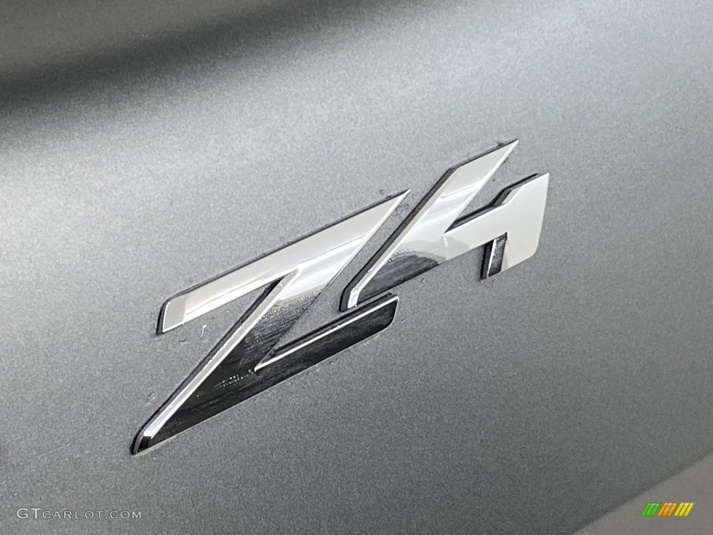 2019 Z4 sDrive30i - Frozen Grey II Metallic / Magma Red photo #10