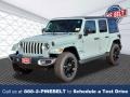 Earl - Wrangler Unlimited Sahara 4XE Hybrid Photo No. 1