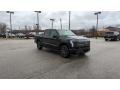 Agate Black Metallic 2023 Ford F150 Lightning Lariat 4x4 Exterior