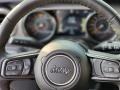 Black Steering Wheel Photo for 2023 Jeep Wrangler #145512477