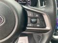 Magnetite Gray Metallic - Outback 2.5i Premium Photo No. 17