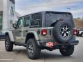 Sting-Gray - Wrangler Unlimited Rubicon 4x4 Photo No. 4