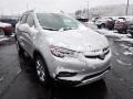 Quicksilver Metallic - Encore Essence AWD Photo No. 10