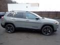 Sting-Gray - Cherokee Altitude Lux 4x4 Photo No. 7
