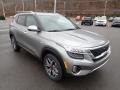 Steel Gray 2023 Kia Seltos SX AWD Exterior