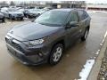 Magnetic Gray Metallic - RAV4 XLE Photo No. 1
