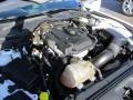 Oxford White - Mustang EcoBoost Premium Convertible Photo No. 28