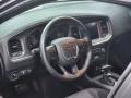 2017 Granite Pearl Dodge Charger SXT  photo #8