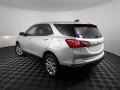 Silver Ice Metallic - Equinox LS AWD Photo No. 6