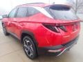 Calypso Red Pearl - Tucson Limited AWD Photo No. 5