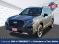 Magnetite Gray Metallic - Forester Wilderness Photo No. 1