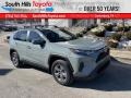 Lunar Rock - RAV4 XLE AWD Photo No. 1