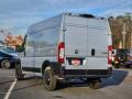 Bright Silver Metallic - ProMaster 1500 High Roof Cargo Van Photo No. 4