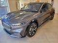 Carbonized Gray Metallic 2023 Ford Mustang Mach-E Premium eAWD Exterior