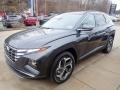 Portofino Gray 2023 Hyundai Tucson Limited AWD Exterior