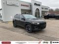 Diamond Black Crystal Pearl - Cherokee Altitude Lux 4x4 Photo No. 1