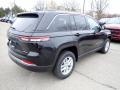 Diamond Black Crystal Pearl - Grand Cherokee Laredo 4x4 Photo No. 5