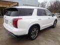 2023 Hyper White Hyundai Palisade SEL AWD  photo #2