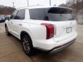 2023 Hyper White Hyundai Palisade SEL AWD  photo #5