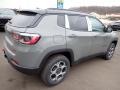 Sting Gray - Compass Trailhawk 4x4 Photo No. 6