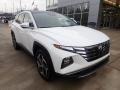 Serenity White - Tucson Limited AWD Photo No. 9