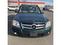 2010 Jade Green Metallic Mercedes-Benz GLK 350 4Matic  photo #7