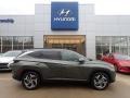 Amazon Gray 2023 Hyundai Tucson Limited AWD Exterior