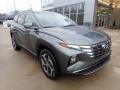 2023 Amazon Gray Hyundai Tucson Limited AWD  photo #9