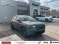 Granite Crystal Metallic - Cherokee Altitude Lux 4x4 Photo No. 1