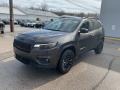 Granite Crystal Metallic - Cherokee Altitude Lux 4x4 Photo No. 8