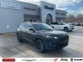 2023 Diamond Black Crystal Pearl Jeep Cherokee Altitude Lux 4x4  photo #1