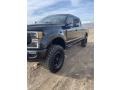 2020 Agate Black Ford F250 Super Duty King Ranch Crew Cab 4x4  photo #7