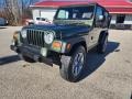 2006 Deep Beryl Green Pearl Jeep Wrangler SE 4x4  photo #19