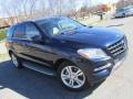 2014 Lunar Blue Metallic Mercedes-Benz ML 350 4Matic  photo #3