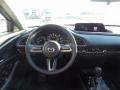 Polymetal Gray Metallic - CX-30 S Carbon Edition AWD Photo No. 4