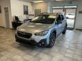 Ice Silver Metallic - Crosstrek Sport Photo No. 8